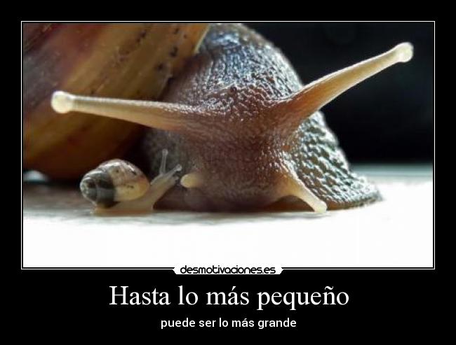 Hasta lo más pequeño - 