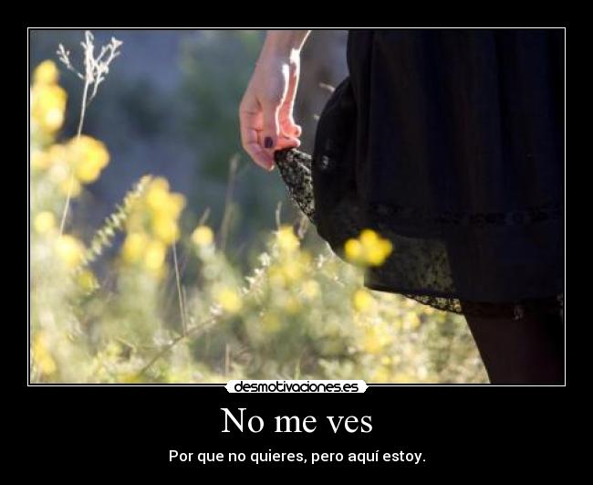No me ves - Por que no quieres, pero aquí estoy.