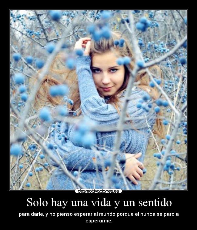 Solo hay una vida y un sentido -