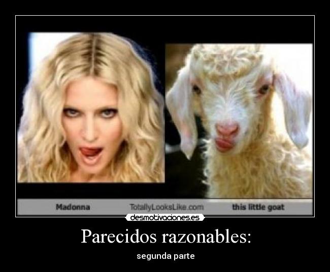 Parecidos razonables: - 