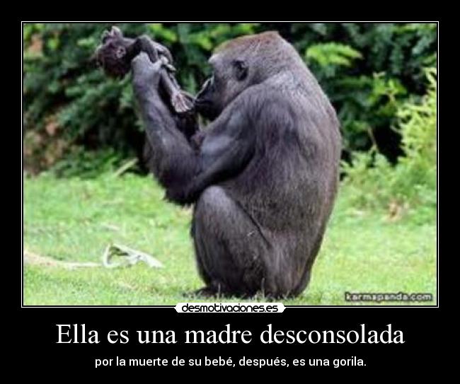 Ella es una madre desconsolada - 