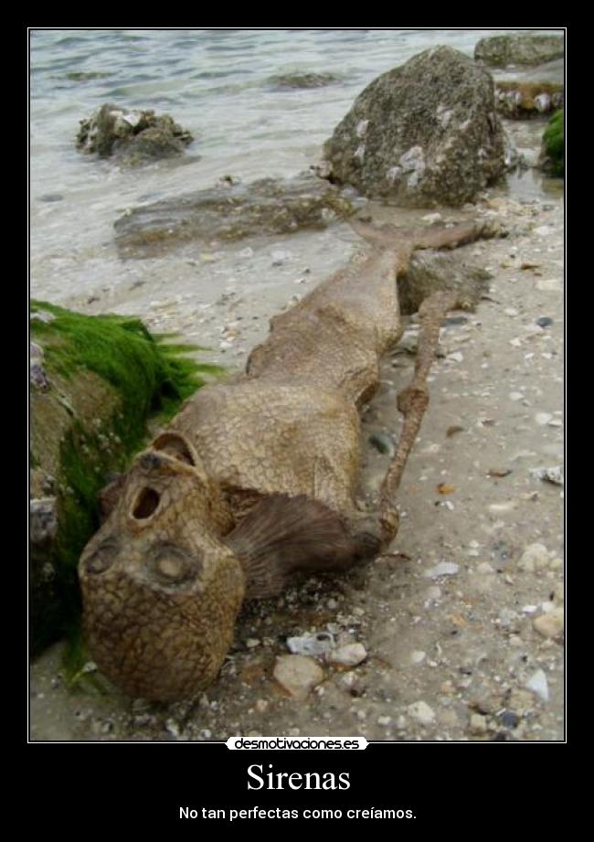Sirenas - No tan perfectas como creíamos.