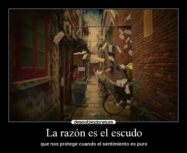 La razón es el escudo - que nos protege cuando el sentimiento es puro
