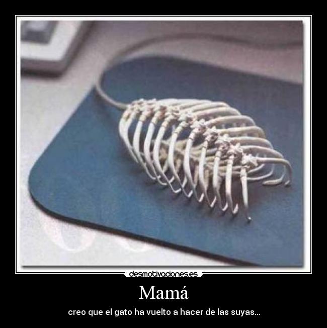 Mamá - creo que el gato ha vuelto a hacer de las suyas...