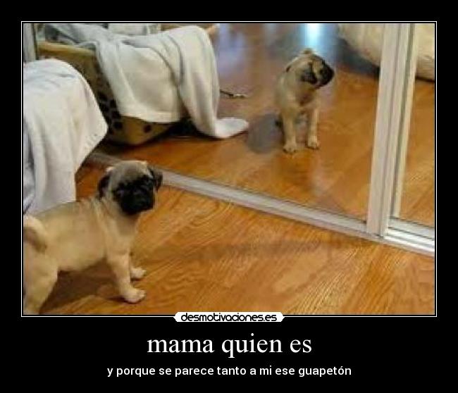 mama quien es - y porque se parece tanto a mi ese guapetón