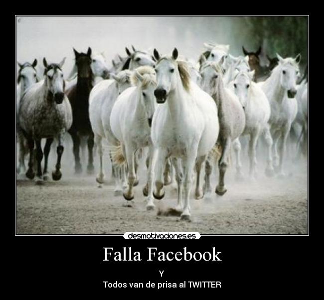 Falla Facebook - Y
Todos van de prisa al TWITTER