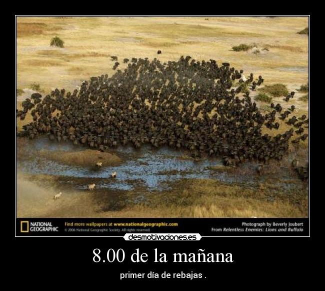 8.00 de la mañana -