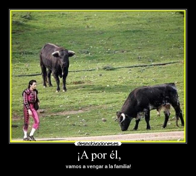 ¡A por él, -