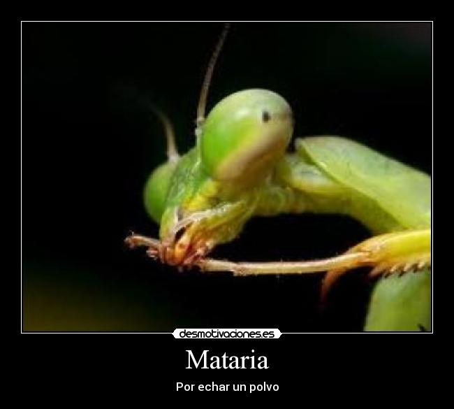 Mataria - Por echar un polvo