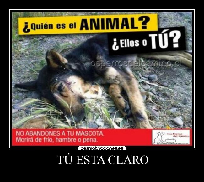 carteles abandono perro desmotivaciones