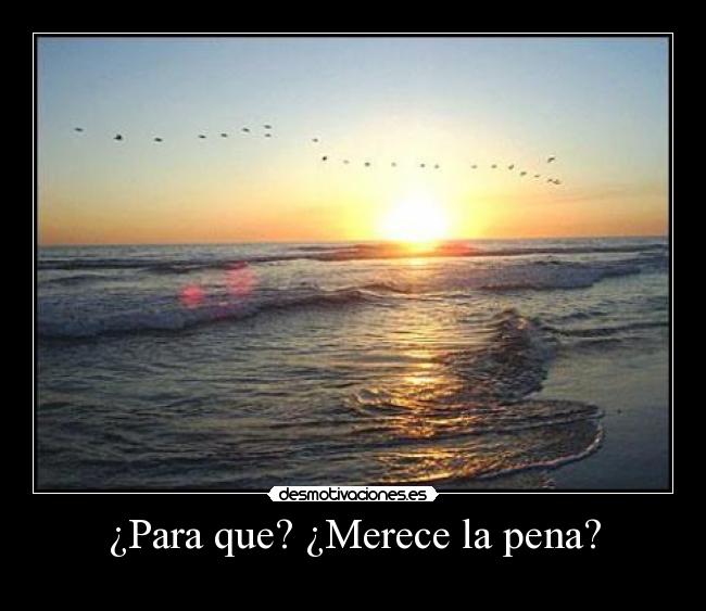 ¿Para que? ¿Merece la pena? -