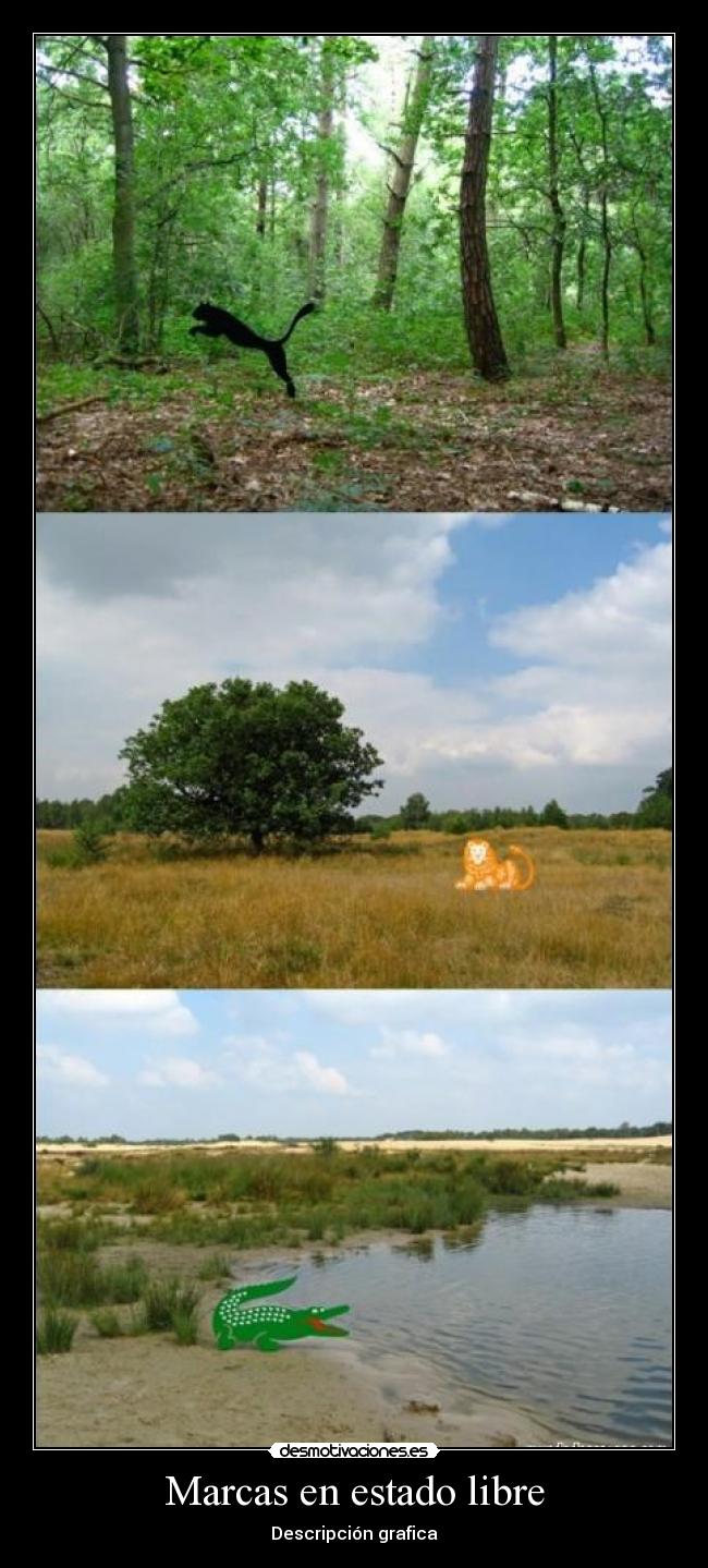 Marcas en estado libre - Descripción grafica