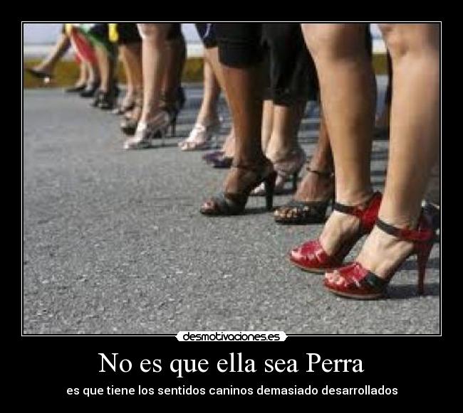 No es que ella sea Perra - es que tiene los sentidos caninos demasiado desarrollados
