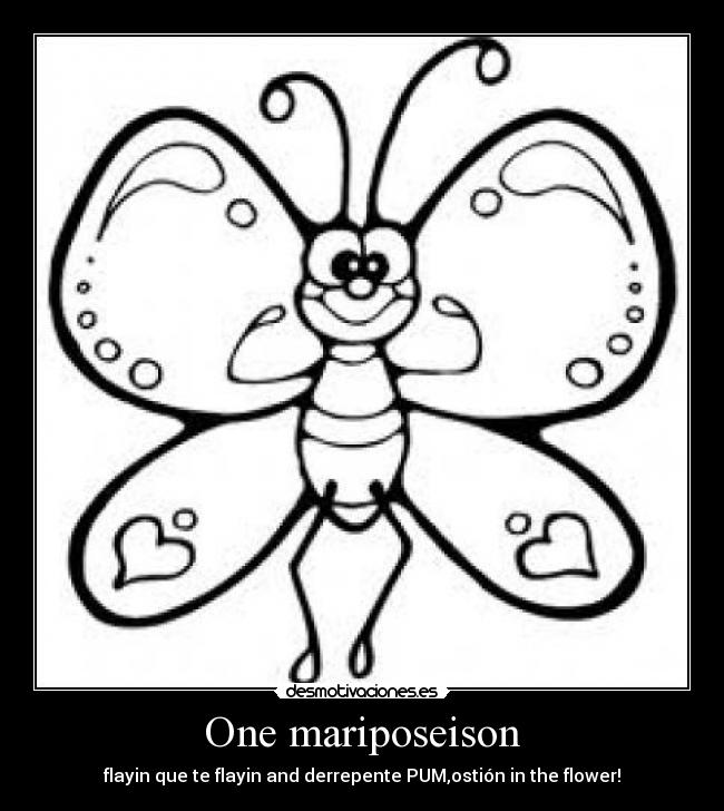 One mariposeison -