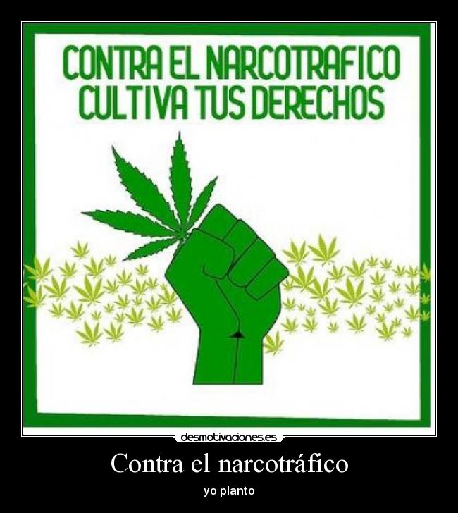 carteles thanatoslothar cannabis realidad desmotivaciones