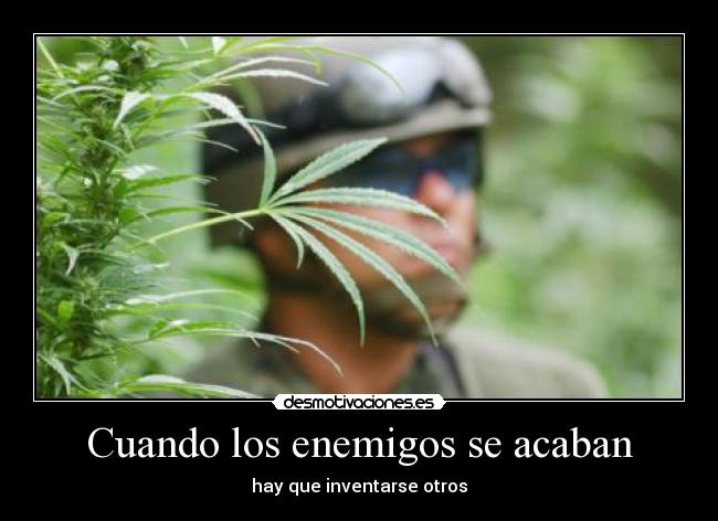 carteles thanatoslothar cannabis realidad desmotivaciones
