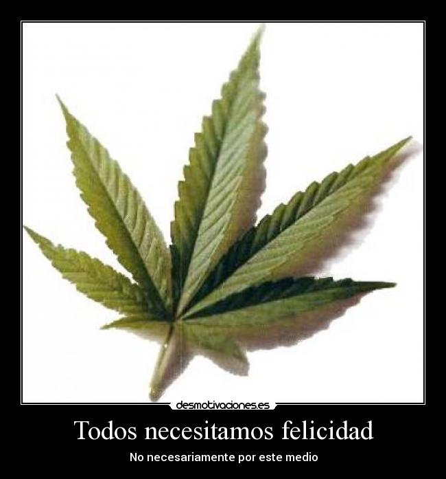 Todos necesitamos felicidad - 