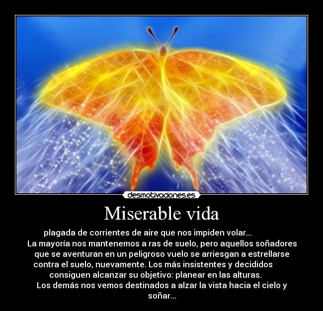 Miserable vida -