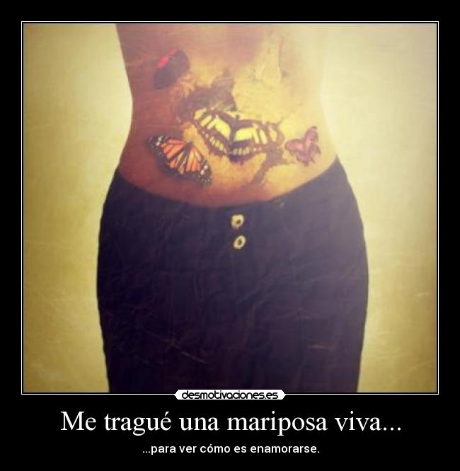 Me tragué una mariposa viva... - ...para ver cómo es enamorarse.