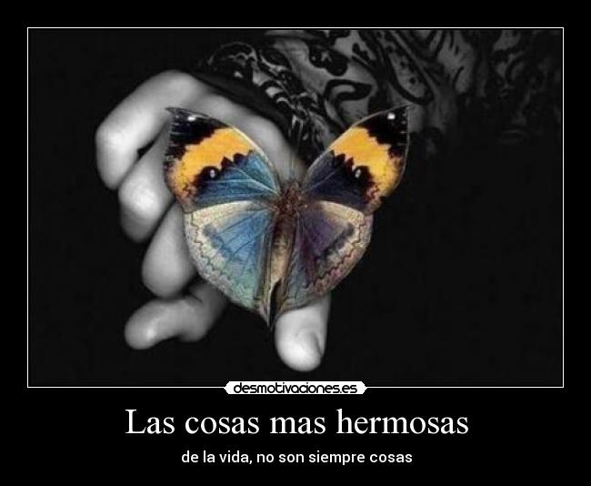 Las cosas mas hermosas - 