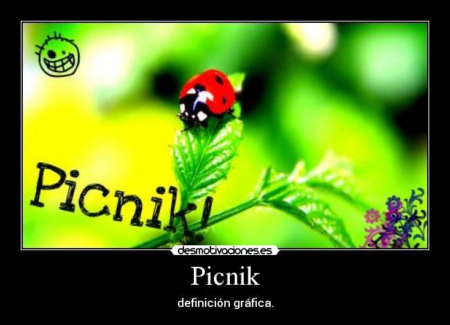 Picnik -