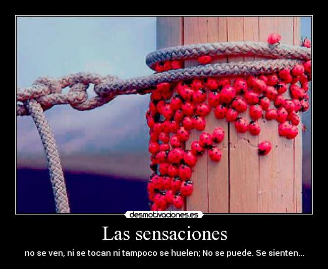 Las sensaciones -