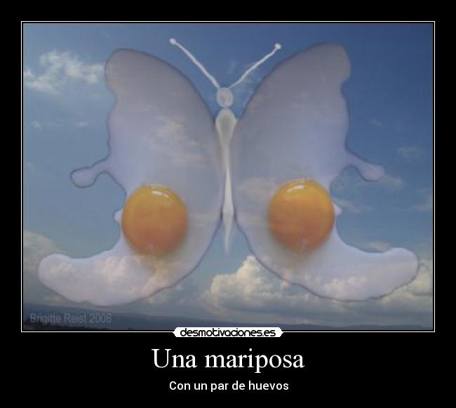 Una mariposa -