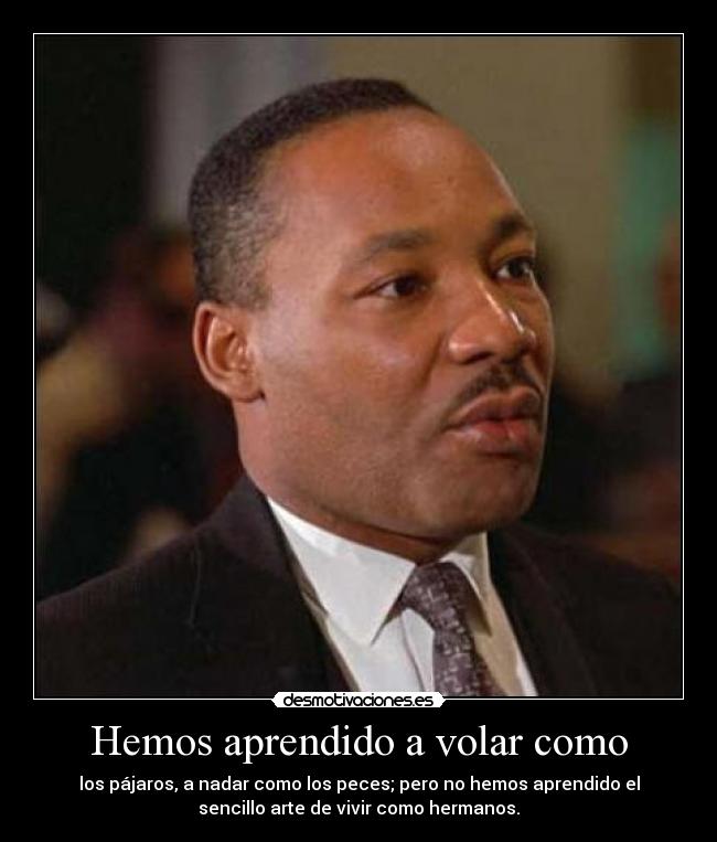 Hemos aprendido a volar como -