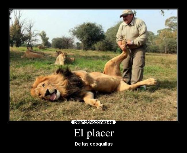 El placer - De las cosquillas