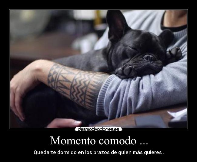 Momento comodo ... -