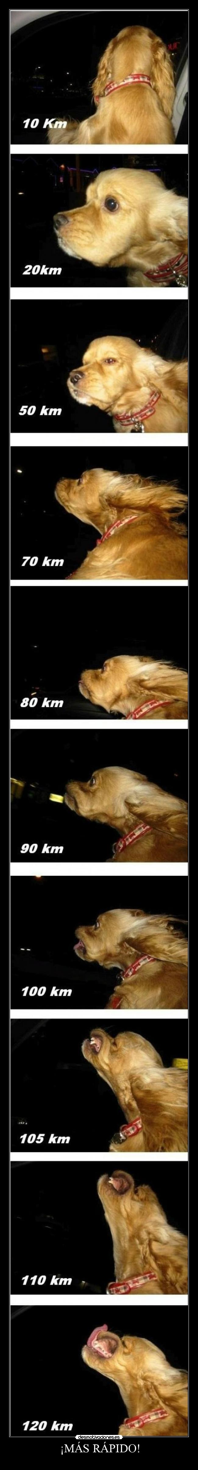 carteles more fast desmotivaciones