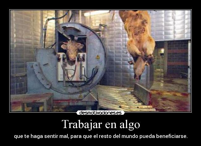 carteles trabajar desmotivaciones