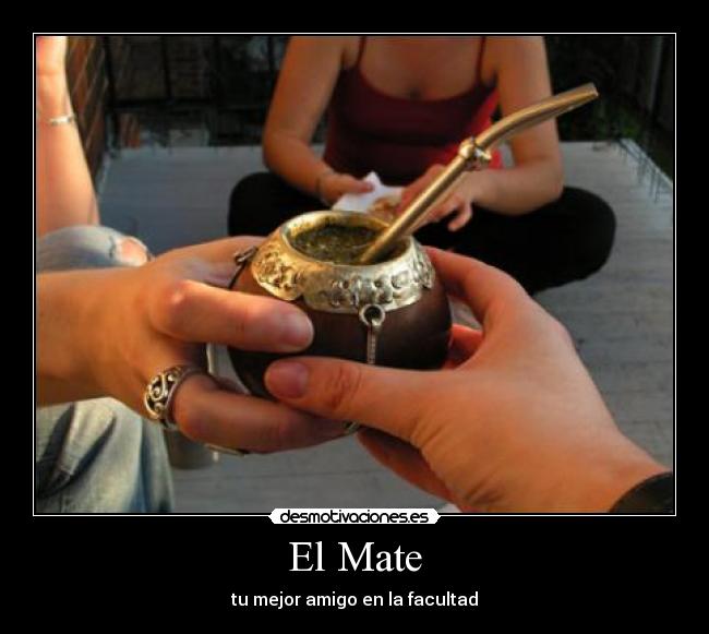 El Mate - tu mejor amigo en la facultad