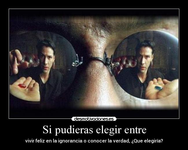 Si pudieras elegir entre -