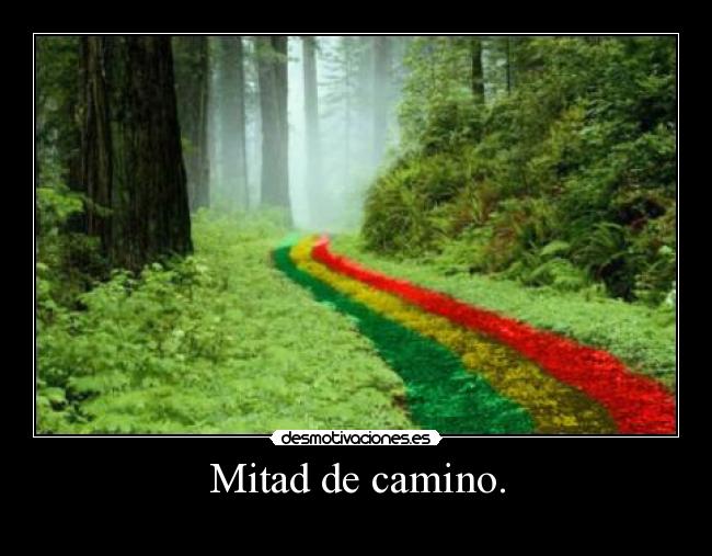 Mitad de camino. -