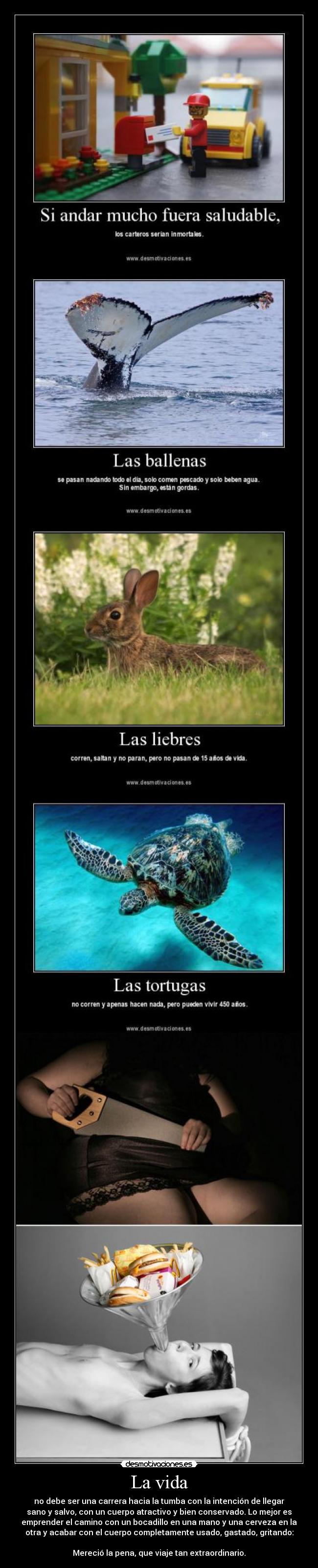 La vida - no debe ser una carrera hacia la tumba con la intención de llegar
sano y salvo, con un cuerpo atractivo y bien conservado. Lo mejor es
emprender el camino con un bocadillo en una mano y una cerveza en la
otra y acabar con el cuerpo completamente usado, gastado, gritando:

Mereció la pena, que viaje tan extraordinario.