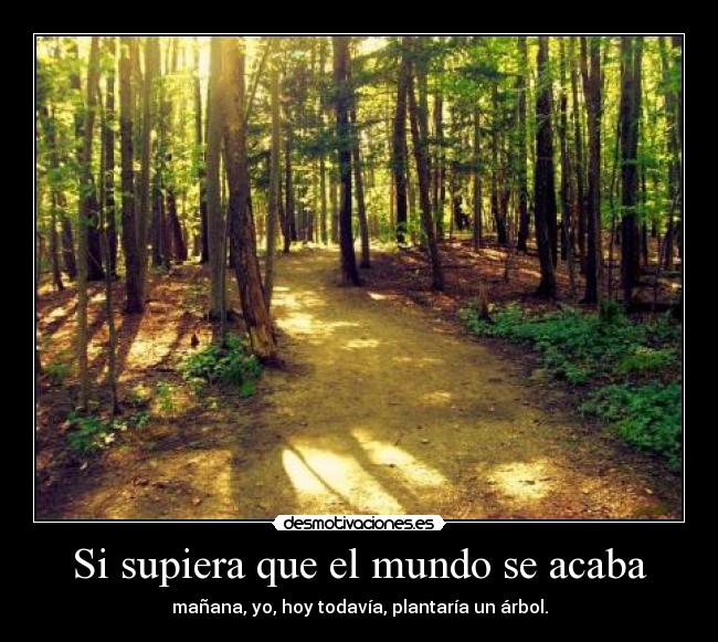 carteles mundo martin luther king desmotivaciones