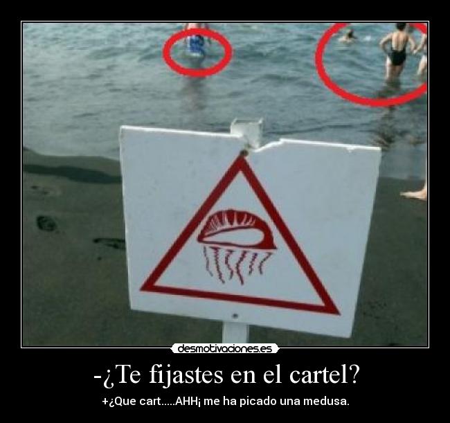 -¿Te fijastes en el cartel? - +¿Que cart.....AHH¡ me ha picado una medusa.