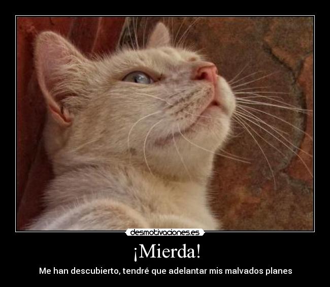 ¡Mierda! - 