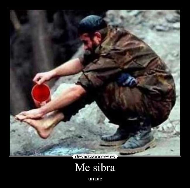 carteles humor desmotivaciones