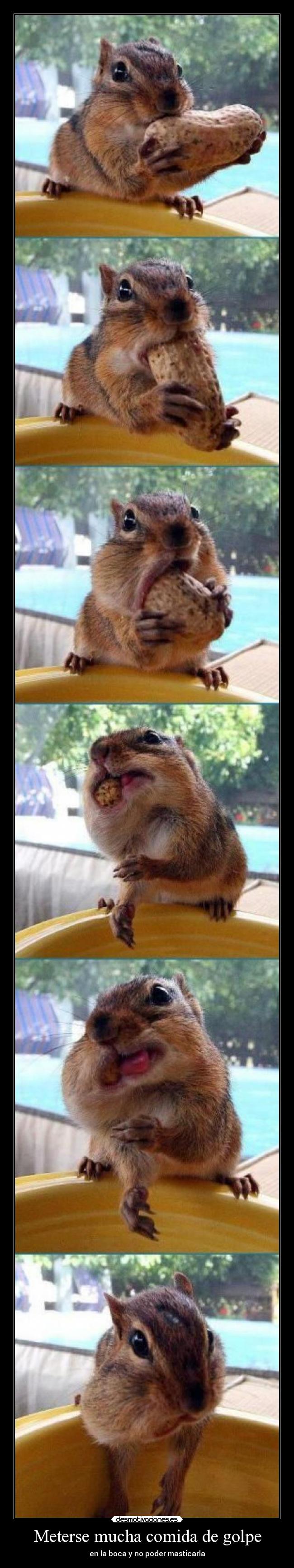 Meterse mucha comida de golpe -