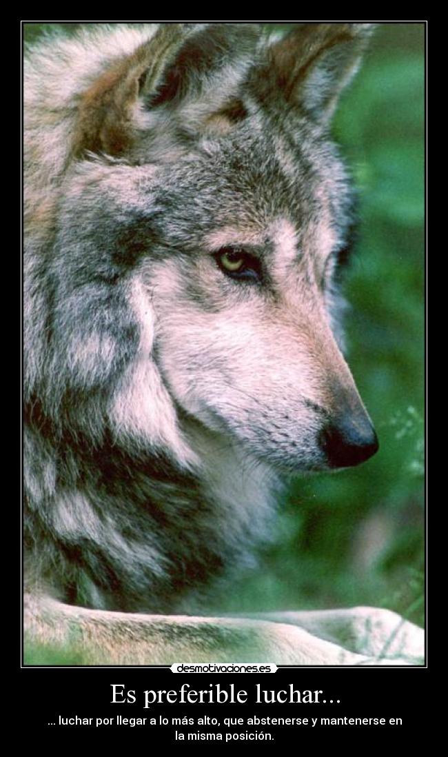 Es preferible luchar... - ... luchar por llegar a lo más alto, que abstenerse y mantenerse en la misma posición.
