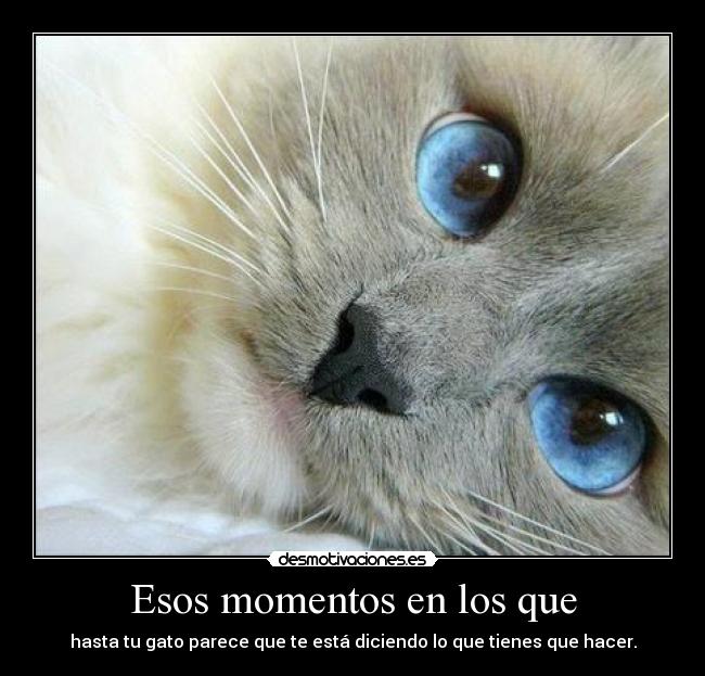 Esos momentos en los que - 