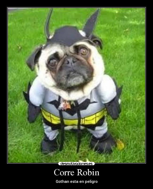 Corre Robin - Gothan esta en peligro