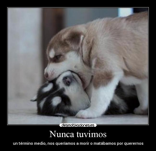 Nunca tuvimos - un término medio, nos queríamos a morir o matábamos por querernos