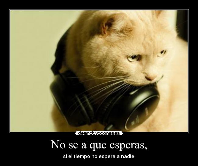 No se a que esperas, - si el tiempo no espera a nadie.