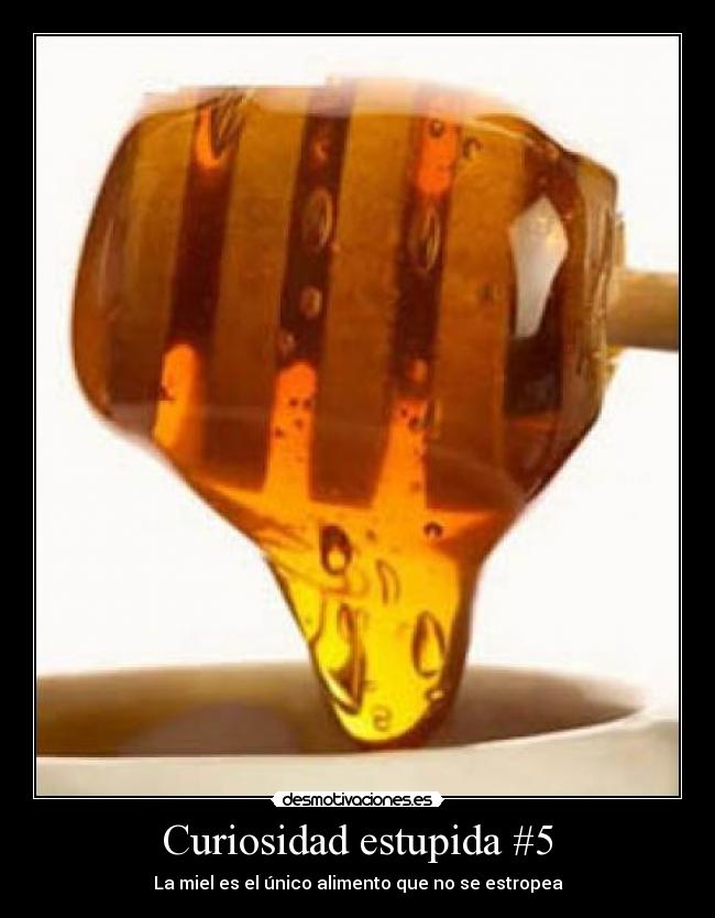 Curiosidad estupida #5 - La miel es el único alimento que no se estropea