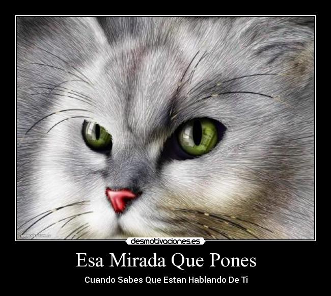 Esa Mirada Que Pones - Cuando Sabes Que Estan Hablando De Ti