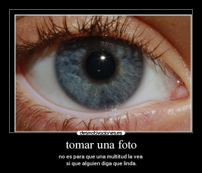tomar una foto - 