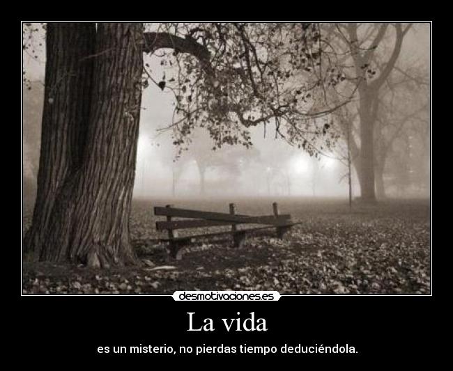 La vida - es un misterio, no pierdas tiempo deduciéndola.